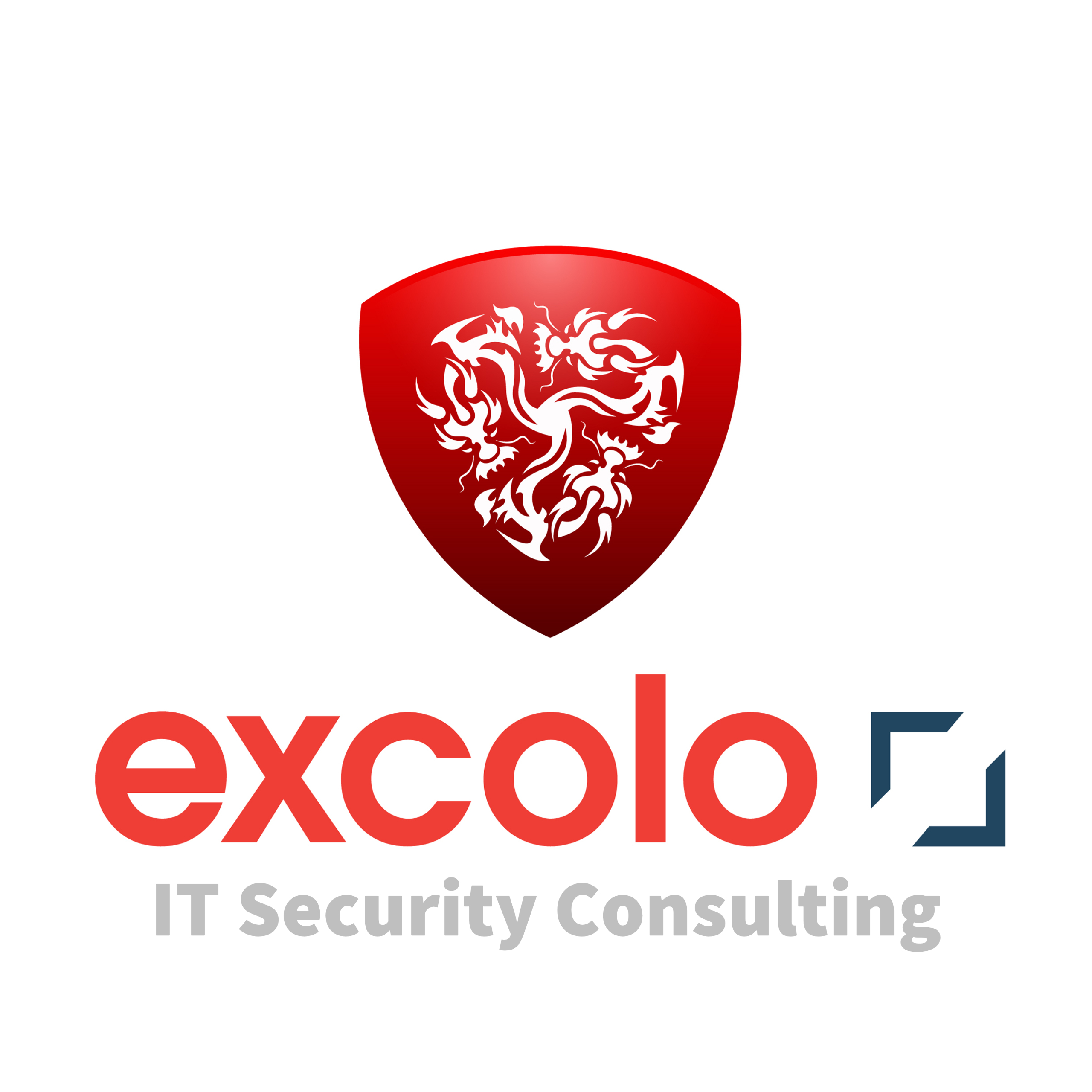 ExColo IT Services